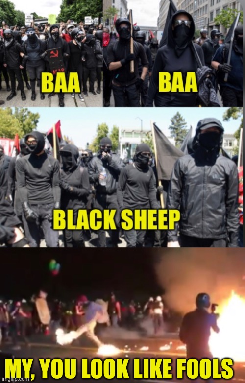 The Antifa Two-Step | MY, YOU LOOK LIKE FOOLS | image tagged in antifa,blm,terrorism,violence is never the answer,stupid people | made w/ Imgflip meme maker