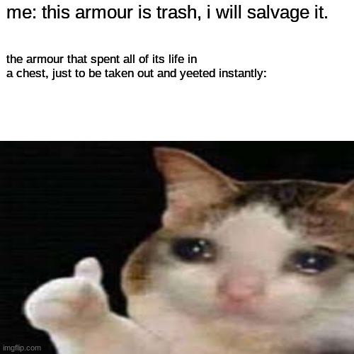 minecraft dungons meme | me: this armour is trash, i will salvage it. the armour that spent all of its life in a chest, just to be taken out and yeeted instantly: | image tagged in memes | made w/ Imgflip meme maker
