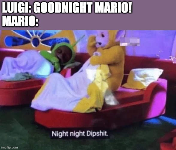 I love how Luigi puts up with all of his brother's bs | LUIGI: GOODNIGHT MARIO!
MARIO: | made w/ Imgflip meme maker