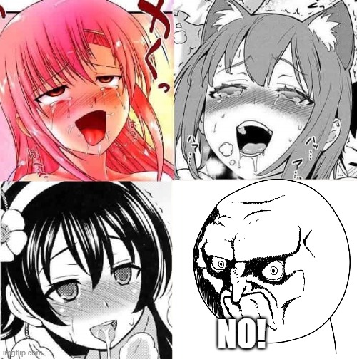 henta- NO! | NO! | image tagged in hentai faces,hentai,memes,funny,no | made w/ Imgflip meme maker