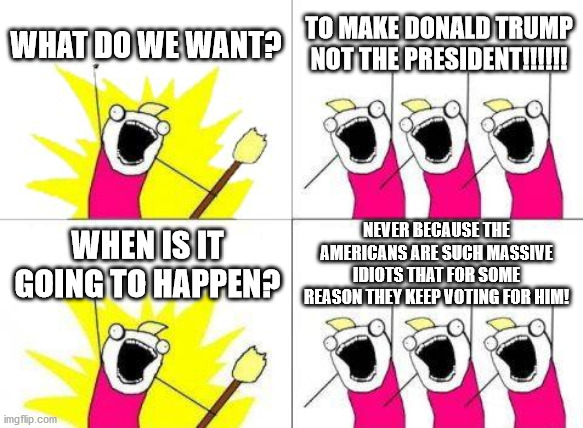 What Do We Want Meme | WHAT DO WE WANT? TO MAKE DONALD TRUMP NOT THE PRESIDENT!!!!!! NEVER BECAUSE THE AMERICANS ARE SUCH MASSIVE IDIOTS THAT FOR SOME REASON THEY KEEP VOTING FOR HIM! WHEN IS IT GOING TO HAPPEN? | image tagged in memes,what do we want,donald trump | made w/ Imgflip meme maker