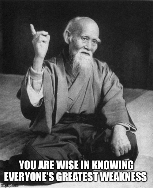 Wise Master | YOU ARE WISE IN KNOWING EVERYONE’S GREATEST WEAKNESS | image tagged in wise master | made w/ Imgflip meme maker