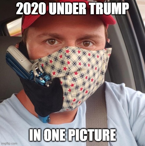 2020 Under Trump in one picture | 2020 UNDER TRUMP; IN ONE PICTURE | image tagged in 2020,maga,trump,coronavirus,guns,2a | made w/ Imgflip meme maker