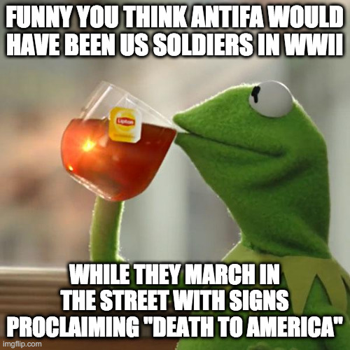But That's None Of My Business Meme | FUNNY YOU THINK ANTIFA WOULD HAVE BEEN US SOLDIERS IN WWII WHILE THEY MARCH IN THE STREET WITH SIGNS PROCLAIMING "DEATH TO AMERICA" | image tagged in memes,but that's none of my business,kermit the frog | made w/ Imgflip meme maker