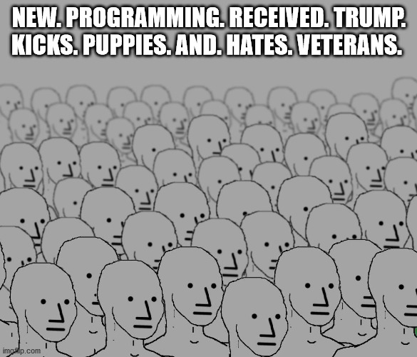 NPC Army Programming | NEW. PROGRAMMING. RECEIVED. TRUMP. KICKS. PUPPIES. AND. HATES. VETERANS. | image tagged in npc meme,trump | made w/ Imgflip meme maker