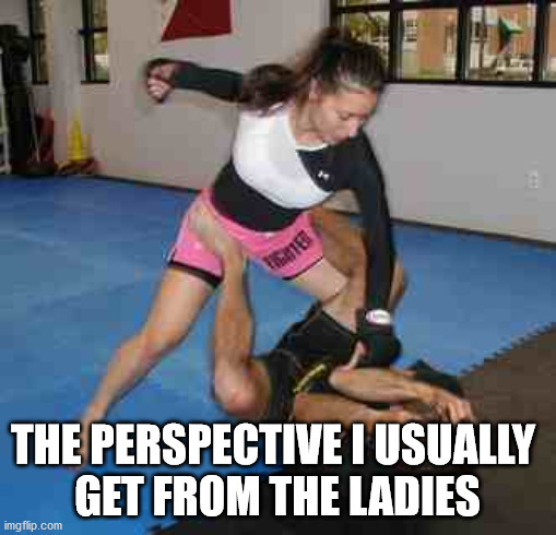 girl power | THE PERSPECTIVE I USUALLY 
GET FROM THE LADIES | image tagged in girl power | made w/ Imgflip meme maker