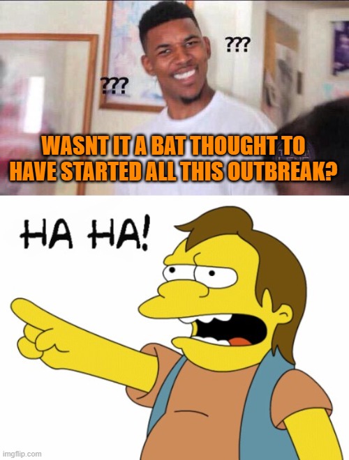 WASNT IT A BAT THOUGHT TO HAVE STARTED ALL THIS OUTBREAK? | image tagged in black guy confused,ha ha | made w/ Imgflip meme maker