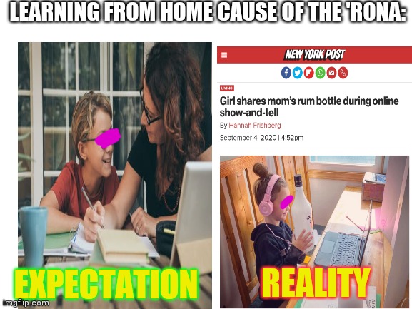 Cyberschool | LEARNING FROM HOME CAUSE OF THE 'RONA:; REALITY; EXPECTATION | image tagged in blank white template,homework,expectation vs reality | made w/ Imgflip meme maker