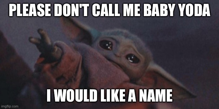 He/she needs a real name | PLEASE DON'T CALL ME BABY YODA; I WOULD LIKE A NAME | image tagged in baby yoda cry | made w/ Imgflip meme maker