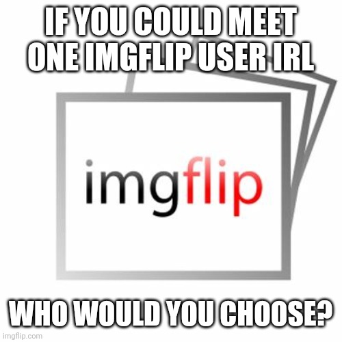 Unfeatured from the think tank because No ImGfLiP qUeStIoNs | IF YOU COULD MEET ONE IMGFLIP USER IRL; WHO WOULD YOU CHOOSE? | image tagged in imgflip | made w/ Imgflip meme maker