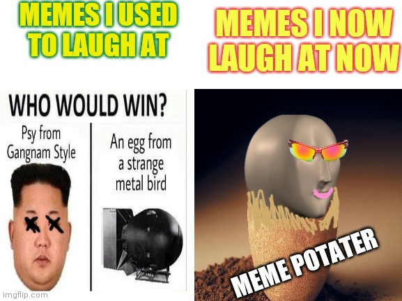 Memes I used to like | MEMES I USED TO LAUGH AT; MEMES I NOW LAUGH AT NOW; MEME POTATER | image tagged in kim jong un,potato,new memes | made w/ Imgflip meme maker