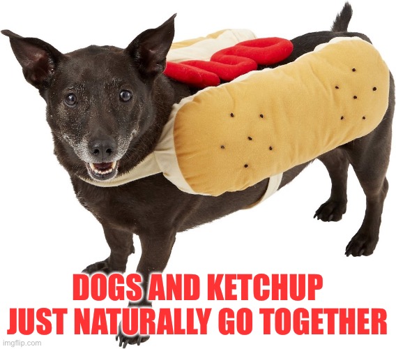 DOGS AND KETCHUP JUST NATURALLY GO TOGETHER | made w/ Imgflip meme maker