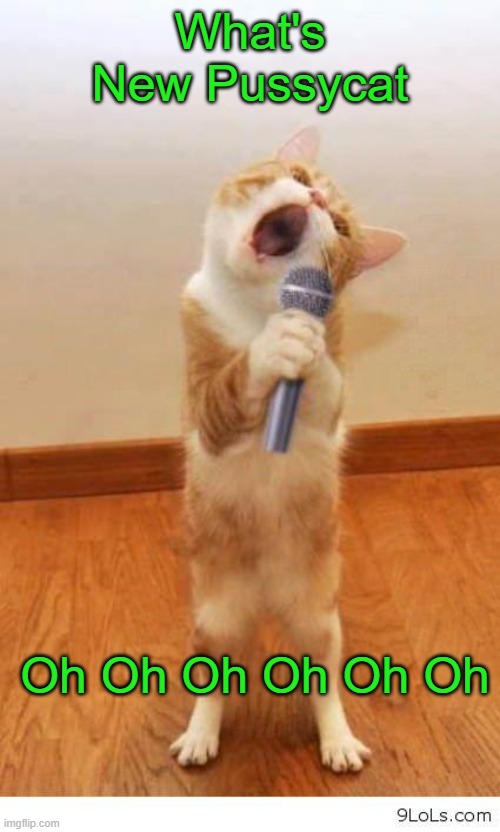 This is ny song | What's New Pussycat; Oh Oh Oh Oh Oh Oh | image tagged in cat singer | made w/ Imgflip meme maker