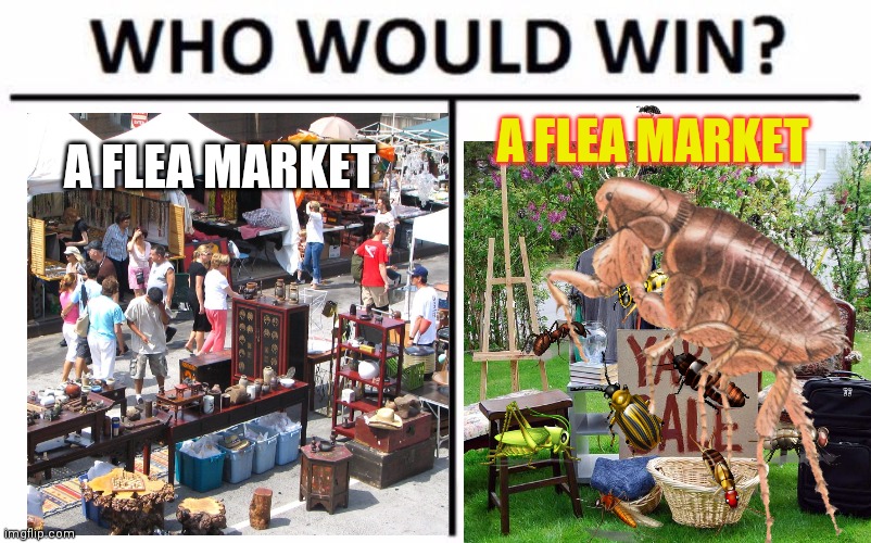 Flea market | A FLEA MARKET; A FLEA MARKET | image tagged in memes,who would win,fleas,bugs,yard sale | made w/ Imgflip meme maker