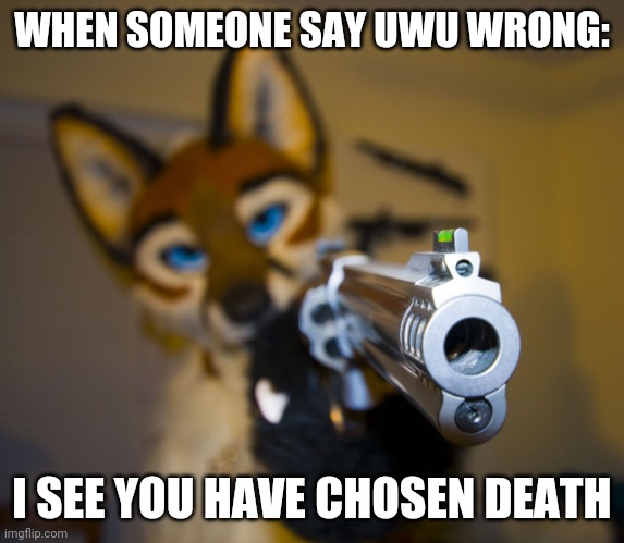 Furry with gun | WHEN SOMEONE SAY UWU WRONG:; I SEE YOU HAVE CHOSEN DEATH | image tagged in furry with gun | made w/ Imgflip meme maker