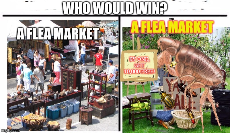 Yard sale time! | WHO WOULD WIN? BY ONE, GET 10,000 FREE! | image tagged in fleas,bugs,yard sale,who would win | made w/ Imgflip meme maker