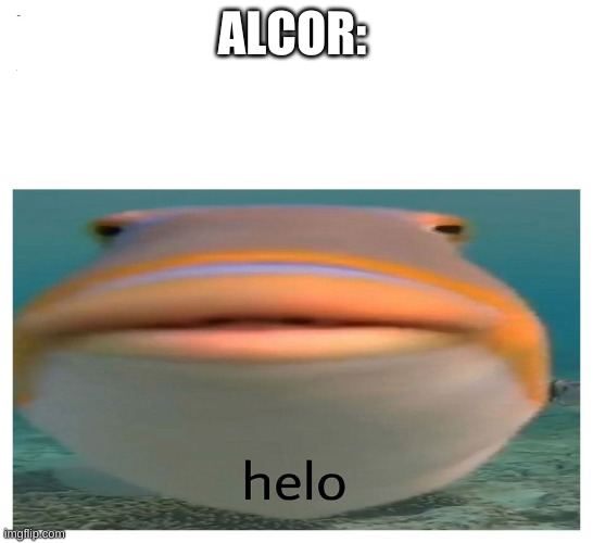 helo fish | ALCOR: | image tagged in helo fish | made w/ Imgflip meme maker