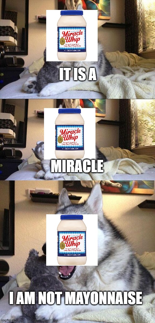 it is a miracle | IT IS A; MIRACLE; I AM NOT MAYONNAISE | image tagged in memes,bad pun dog | made w/ Imgflip meme maker