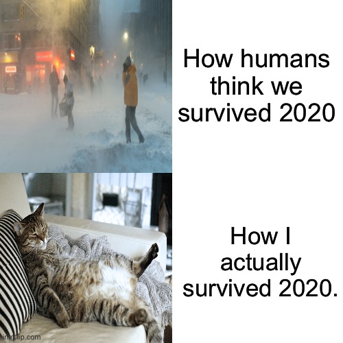 Drake Hotline Bling Meme | How humans think we survived 2020; How I actually survived 2020. | image tagged in memes,drake hotline bling | made w/ Imgflip meme maker