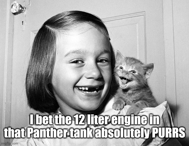 Best Cat Puns | I bet the 12 liter engine in that Panther tank absolutely PURRS | image tagged in best cat puns | made w/ Imgflip meme maker