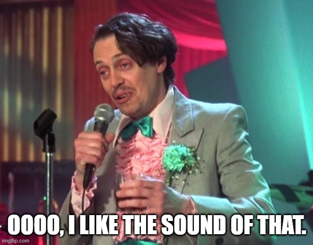 Wedding Singer | OOOO, I LIKE THE SOUND OF THAT. | image tagged in steve buscemi,wedding,wedding singer | made w/ Imgflip meme maker
