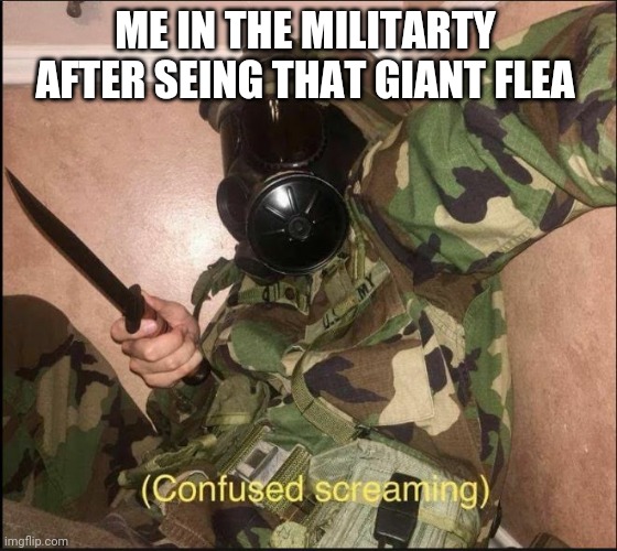 confused screaming but with gas mask | ME IN THE MILITARTY AFTER SEING THAT GIANT FLEA | image tagged in confused screaming but with gas mask | made w/ Imgflip meme maker