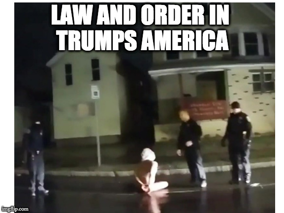 Law and Order in Trump's America | LAW AND ORDER IN 
TRUMPS AMERICA | image tagged in law and order,daniel prude,political meme,trump's america,law enforcement | made w/ Imgflip meme maker