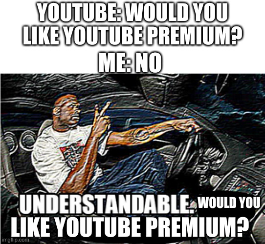 UNDERSTANDABLE, HAVE A GREAT DAY | YOUTUBE: WOULD YOU LIKE YOUTUBE PREMIUM? ME: NO; WOULD YOU; LIKE YOUTUBE PREMIUM? | image tagged in understandable have a great day | made w/ Imgflip meme maker