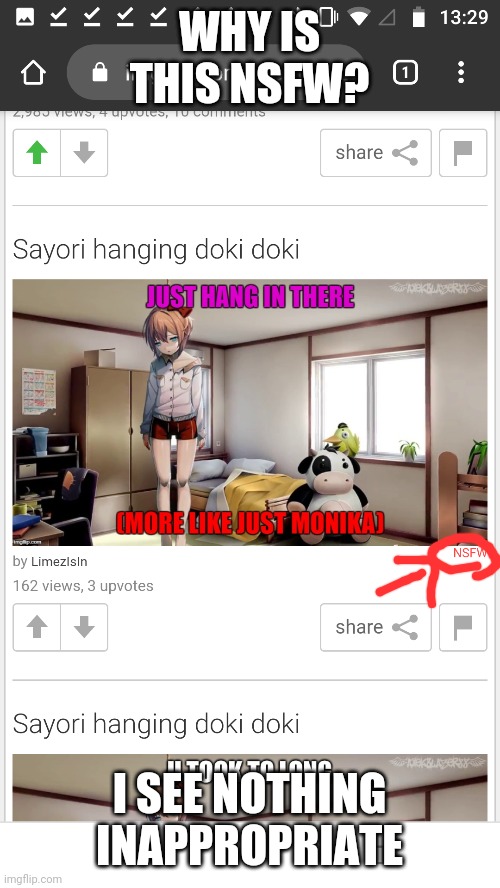 Tell me the reason why this was nsfw. DO NOT MARK IT NSFW! | WHY IS THIS NSFW? I SEE NOTHING INAPPROPRIATE | image tagged in nsfw,sfw image but nsfw,sayori hanging doki doki | made w/ Imgflip meme maker