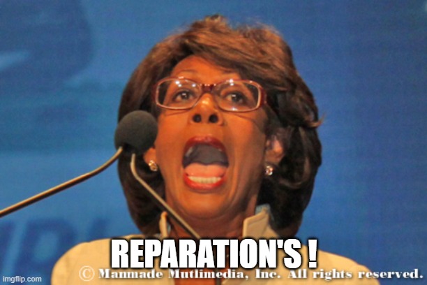 Maxine waters | REPARATION'S ! | image tagged in maxine waters | made w/ Imgflip meme maker