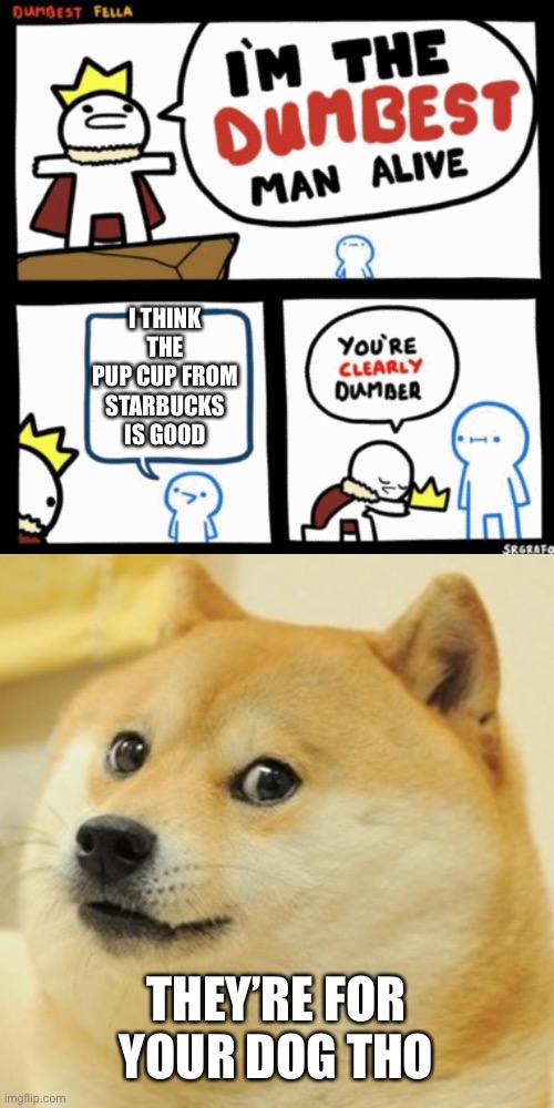 I THINK THE PUP CUP FROM STARBUCKS IS GOOD; THEY’RE FOR YOUR DOG THO | image tagged in memes,doge,i'm the dumbest man alive | made w/ Imgflip meme maker