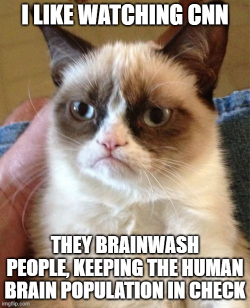 lol | I LIKE WATCHING CNN; THEY BRAINWASH PEOPLE, KEEPING THE HUMAN BRAIN POPULATION IN CHECK | image tagged in memes,grumpy cat,cats,funny,politics,cnn fake news | made w/ Imgflip meme maker