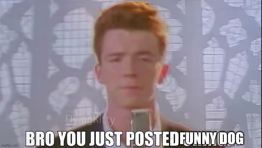 Bro You Just Posted Cringe (Rick Astley) | FUNNY DOG | image tagged in bro you just posted cringe rick astley | made w/ Imgflip meme maker