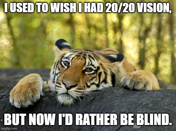 20/20 | I USED TO WISH I HAD 20/20 VISION, BUT NOW I'D RATHER BE BLIND. | image tagged in confession tiger,2020,funny,memes | made w/ Imgflip meme maker