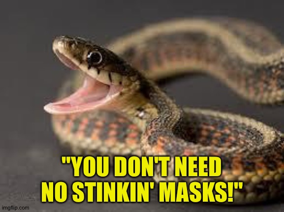 Warning Snake | "YOU DON'T NEED NO STINKIN' MASKS!" | image tagged in warning snake | made w/ Imgflip meme maker