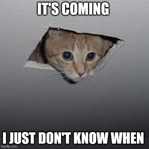 Ceiling Cat | IT'S COMING; I JUST DON'T KNOW WHEN | image tagged in memes,ceiling cat | made w/ Imgflip meme maker