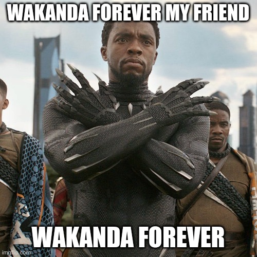 Wakanda Forever | WAKANDA FOREVER MY FRIEND WAKANDA FOREVER | image tagged in wakanda forever | made w/ Imgflip meme maker