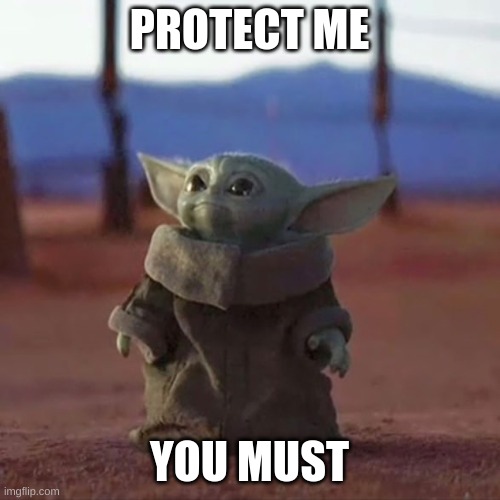 Baby Yoda | PROTECT ME YOU MUST | image tagged in baby yoda | made w/ Imgflip meme maker