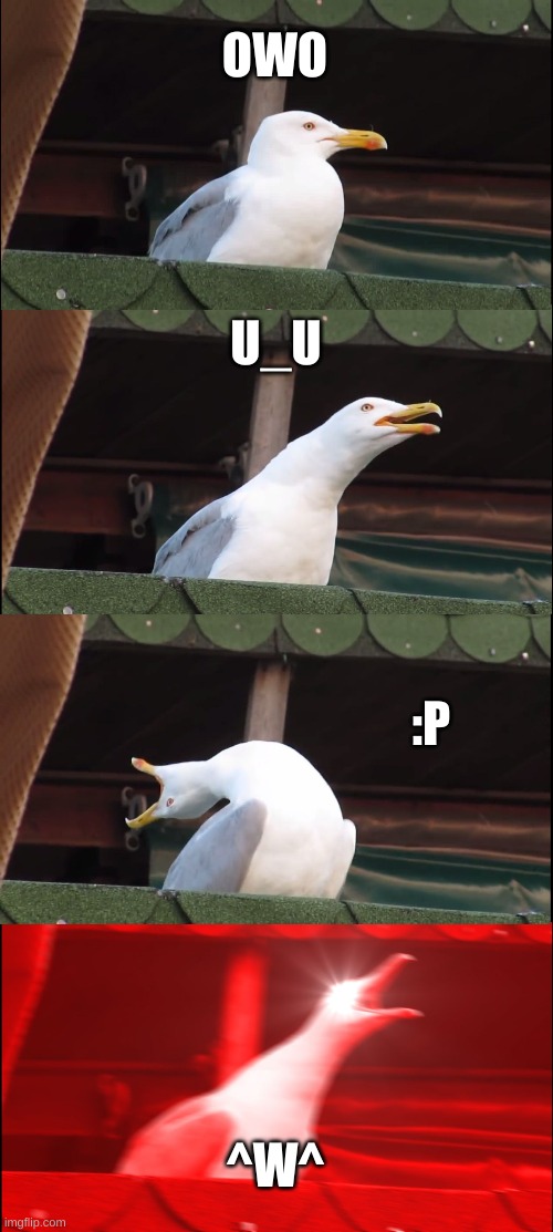 When your running out of ideas | OWO; U_U; :P; ^W^ | image tagged in memes,inhaling seagull,funny memes,last minute | made w/ Imgflip meme maker