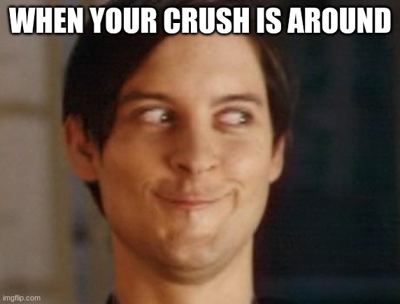 Spiderman | WHEN YOUR CRUSH IS AROUND | image tagged in memes,spiderman peter parker | made w/ Imgflip meme maker
