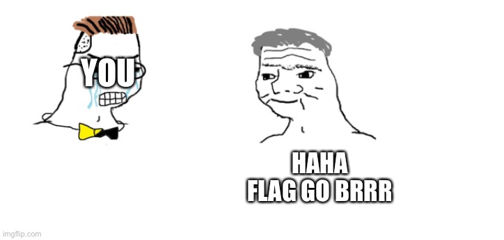 nooo haha go brrr | YOU HAHA FLAG GO BRRR | image tagged in nooo haha go brrr | made w/ Imgflip meme maker