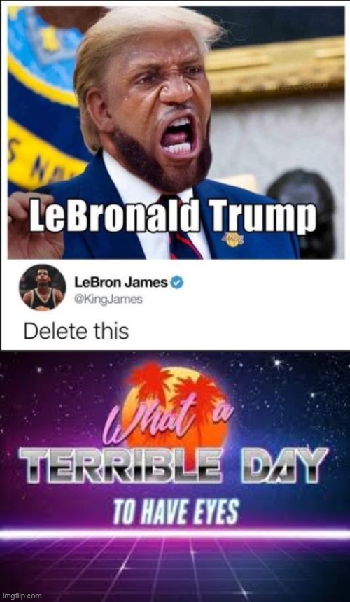 Delete this | image tagged in memes,lebron james,donald trump,what a terrible day to have eyes,oh wow are you actually reading these tags | made w/ Imgflip meme maker