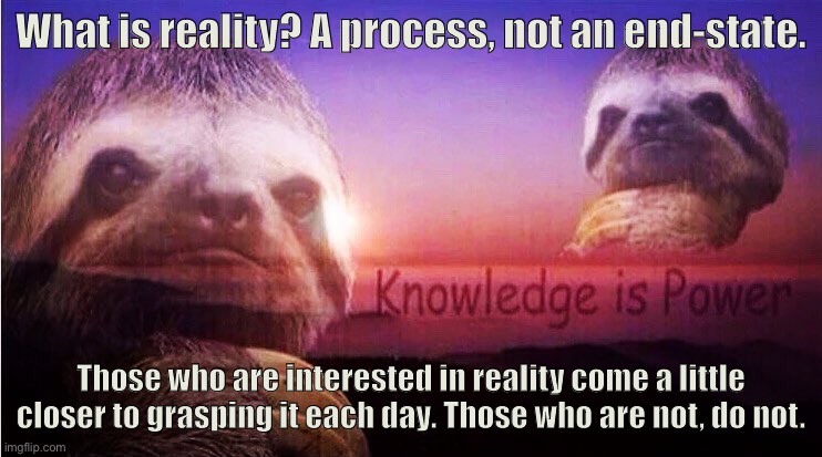 Reality is in flux. The cutting-edge evolves. What we once knew becomes disproven. Grasping it is the work of a lifetime. | What is reality? A process, not an end-state. Those who are interested in reality come a little closer to grasping it each day. Those who are not, do not. | image tagged in sloth knowledge is power,philosophy,reality,reality check,science,knowledge is power | made w/ Imgflip meme maker