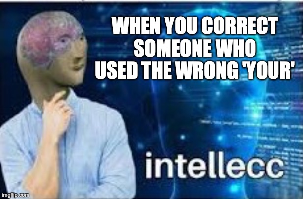 A True Friend Will Correct You. A Complete Stranger Will Also Correct You. | WHEN YOU CORRECT SOMEONE WHO USED THE WRONG 'YOUR' | image tagged in intellecc,memes,grammar,yay,me | made w/ Imgflip meme maker