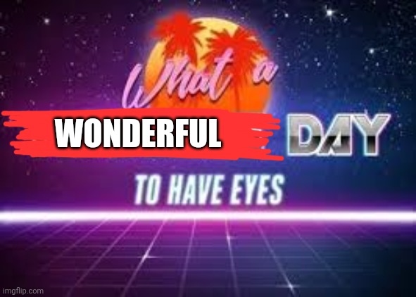 what a terrible day to have eyes | WONDERFUL | image tagged in what a terrible day to have eyes | made w/ Imgflip meme maker