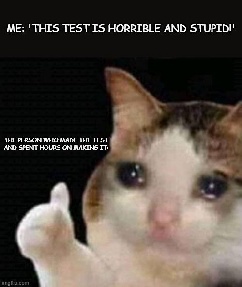 Test Meme Thing | ME: 'THIS TEST IS HORRIBLE AND STUPID!'; THE PERSON WHO MADE THE TEST AND SPENT HOURS ON MAKING IT: | image tagged in sad thumbs up cat | made w/ Imgflip meme maker