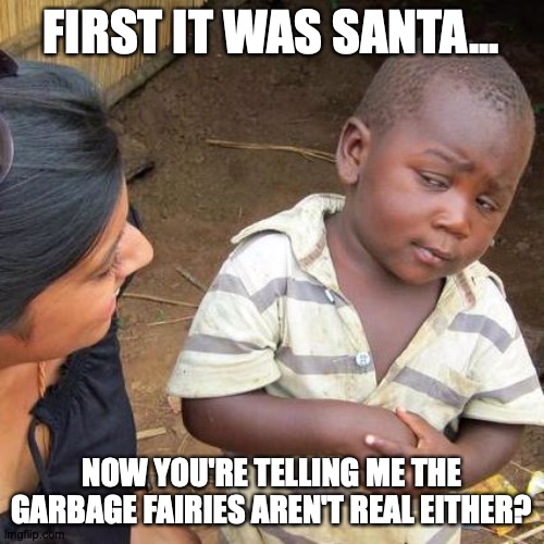 Third World Skeptical Kid Meme | FIRST IT WAS SANTA... NOW YOU'RE TELLING ME THE GARBAGE FAIRIES AREN'T REAL EITHER? | image tagged in memes,third world skeptical kid | made w/ Imgflip meme maker