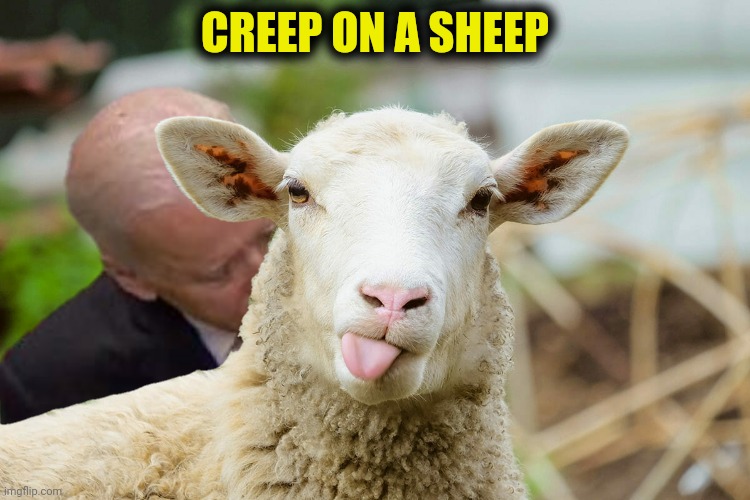 CREEP ON A SHEEP | made w/ Imgflip meme maker