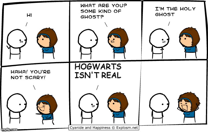 The holy ghost | HOGWARTS ISN'T REAL | image tagged in the holy ghost | made w/ Imgflip meme maker