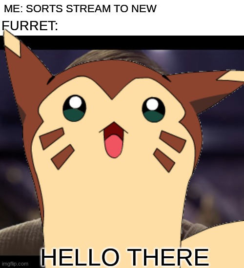 There is no furret tag and now I'm sad | ME: SORTS STREAM TO NEW; FURRET:; HELLO THERE | image tagged in blank white template,hello there,memes,funny | made w/ Imgflip meme maker